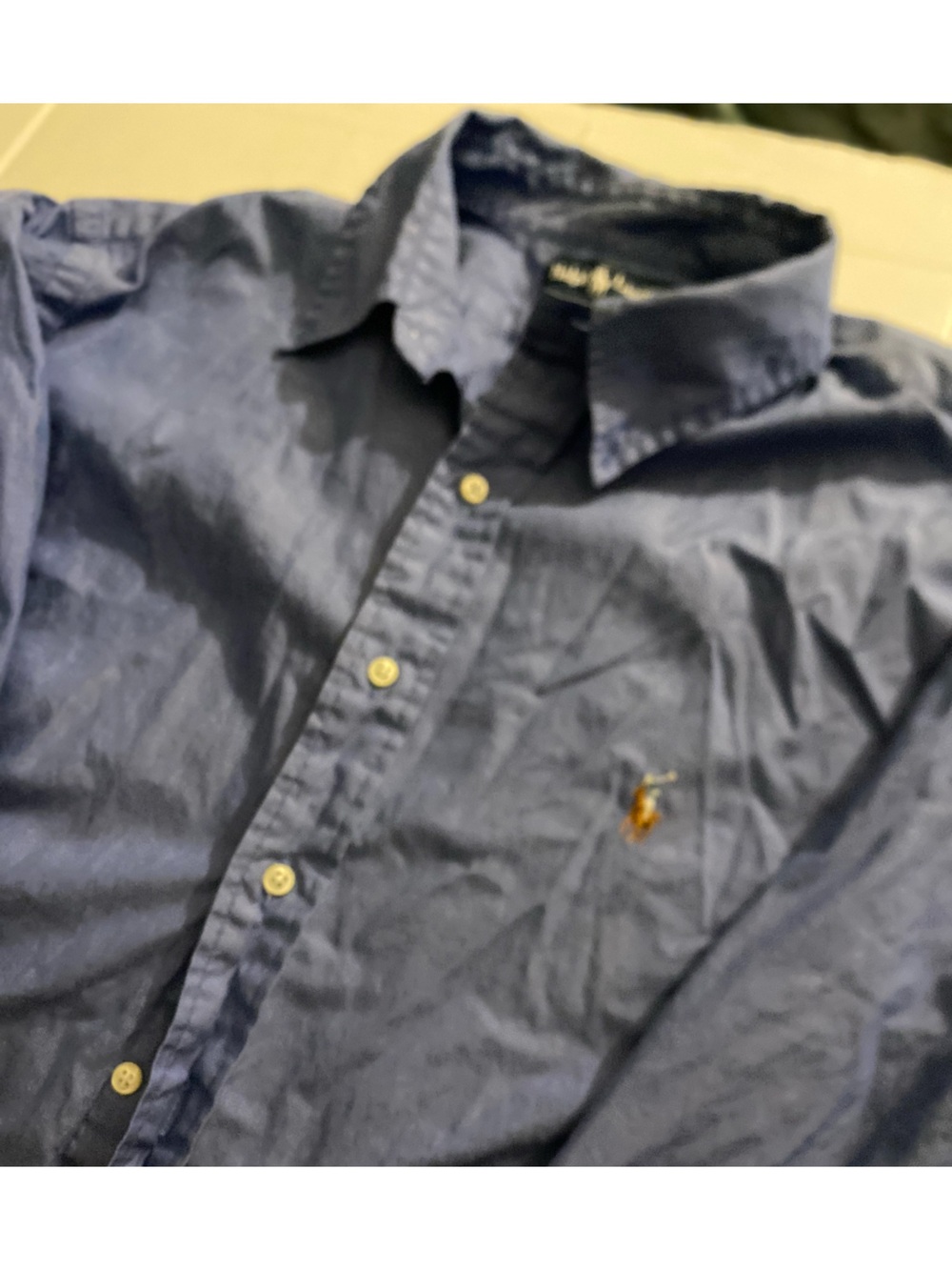 Ralph Lauren Men's Blue Button-Down Shirt with Embroidered Pony